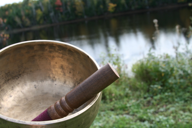 ladle, household equipment, outdoors, plant, water, brass, metal, zen, nature, kitchen utensil, bowl, container, food and drink, day, wood - Material, no people
