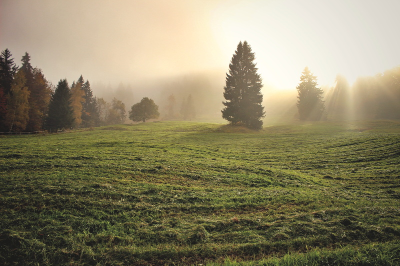 field, sky, bliss, spirit, land, harmony, landscape, grass, love, divine light, clouds, tranquil scene, environment, divine, woodland, trees, 5K, nature
