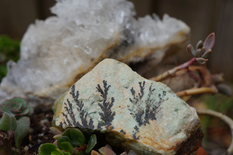 close-up, field, natural, selective focus, succulent plant, leaf, succulents, reiki, crystals, day, outdoors, growth, gemstones, green color, food, solid