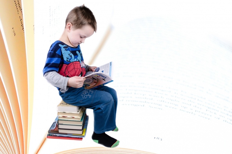 hardcover, studio, reading, males, learning, white, schoolchild, preschooler, childhood, printed, schoolboy, child, male, boy, educational, toddler, preschool