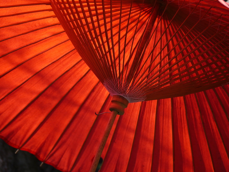 textile, orange color, full frame, bangasa white, roof, day, umbrella, ceiling, low angle view, paper, pattern, tea, oil, backgrounds, wood - material