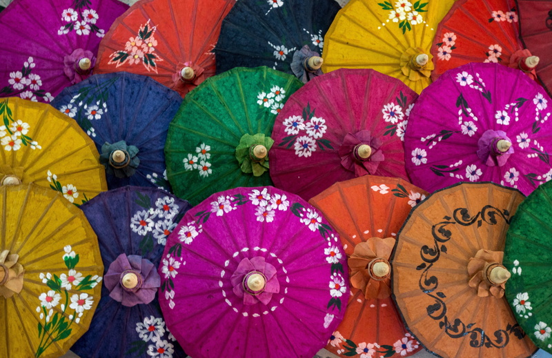 flowering plant, umbrella, flower, craft, variation, market, retail, close-up, oil, arrangement, color, art, multi colored, lot, floral pattern, 5K, decoration