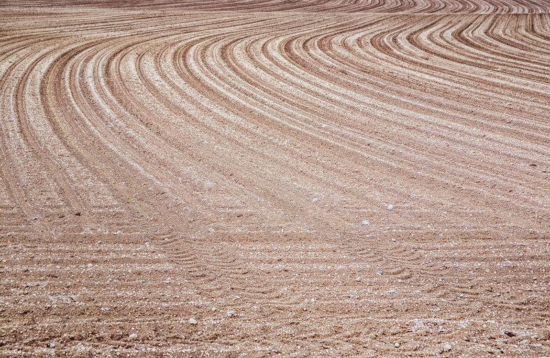 karg, high angle view, sand, field, scenics - nature, tranquil scene, sow, outdoors, texture, steinig, structure, lines, backgrounds, arid climate, full frame