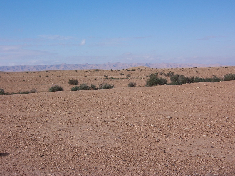 dead, blue, drought, no People, plain, green, rough, plant, africa, hot, environment, outdoor, Rustic, Landscape, day, arid climate, sand, scenics - nature