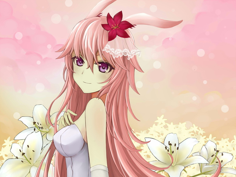 Yae Sakura (Benghuai Xueyuan), Benghuai Xueyuan, 1080P, Anime
