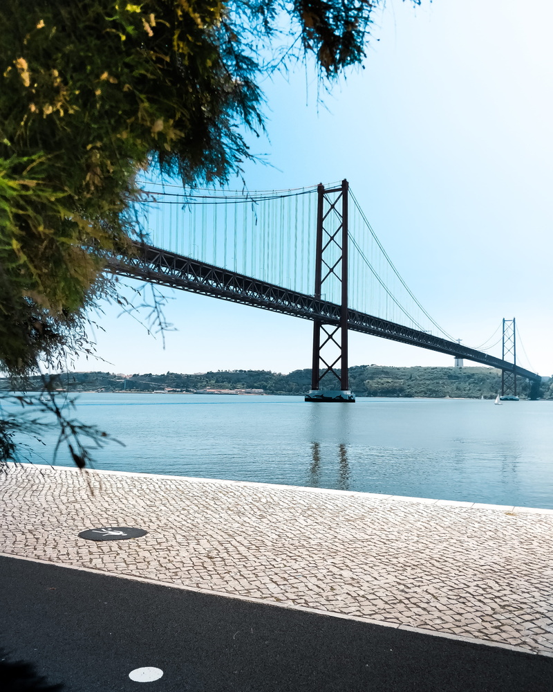 plant, architecture, engineering, sky, nature, built structure, bay, 25th april bridge, river, 4K, day, transportation, outdoors, travel destinations