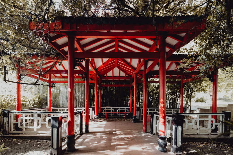 nature, 5K, no people, direction, tropical, park, garden, trees, palms, building, tree, outdoors, religion, absence, botany, ceiling, belem, architectural column