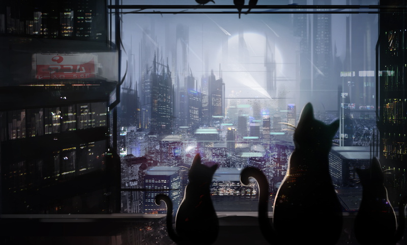 night, Mammia, 2K, the city, cats