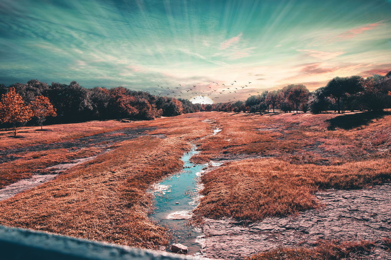 scenics - nature, wildlife, stream, austin, day, water, lightroom, canon 80d, environment, 5K, flowing water, tranquility, lake, tranquil scene, idyllic