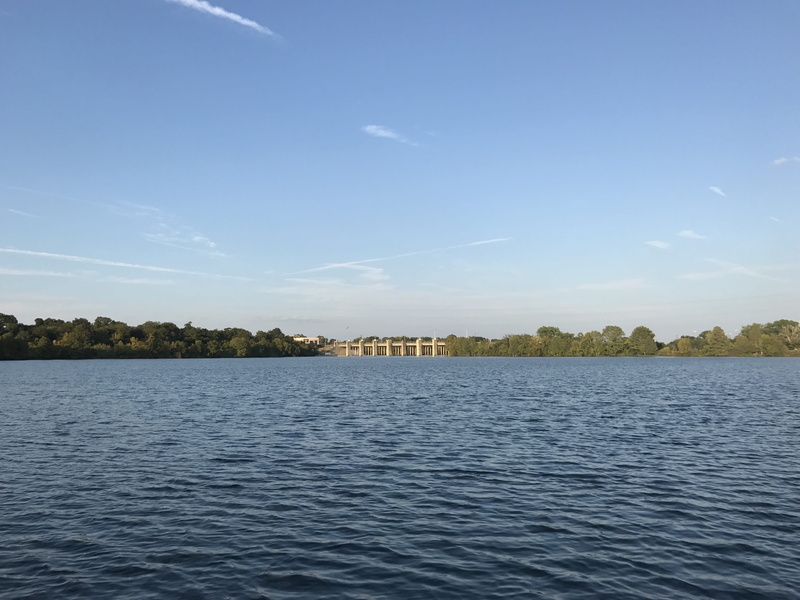 4K, scenics - nature, tree, tranquility, water, rippled, day, austin, nature, outdoors, blue, ladybird, lake, tranquil scene, beauty in nature, non-urban scene
