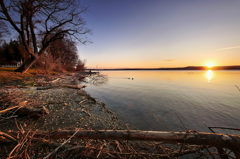 ammersee, sky, sunlight, idyllic, beauty in nature, outdoors, nature, 4K, sun, scenics - nature, bare tree, orange color, reflection, non-urban scene