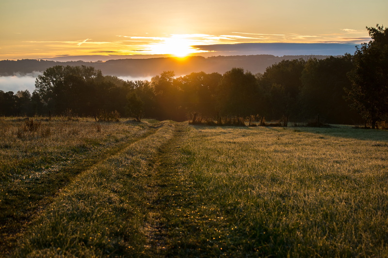 sunlight, landscape, tree, morning hour, meadow, mountains, 5K, outdoors, tranquil scene, idyll, beauty in nature, nature, scenics - nature, morning sun