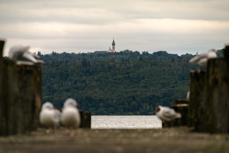 andechs monastery, Lake, bavaria, jetty, travel Locations, Monastery, architecture And Buildings, vertebrate, Gulls, one animal, built structure, animal