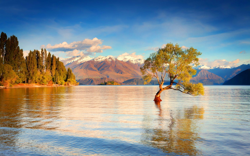 cloud - sky, forest, reflection, scenics - nature, 2K, vacations, day, plant, New Zealand, tranquil scene, water, lifestyles, beauty in nature, mountain