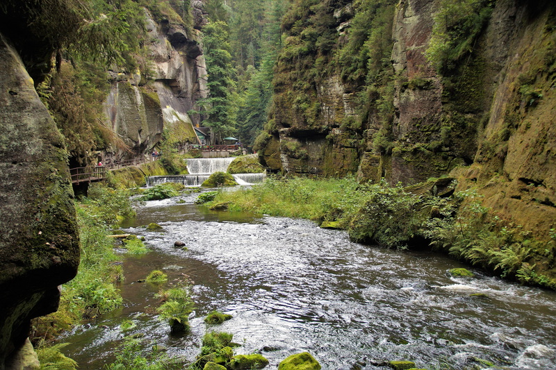 growth, edmund gorge, hřensko, kamenice, solid, day, canyon, 5K, valley, beauty in nature, river, outdoors, sandstone rocks, plant, czech republic, downloading