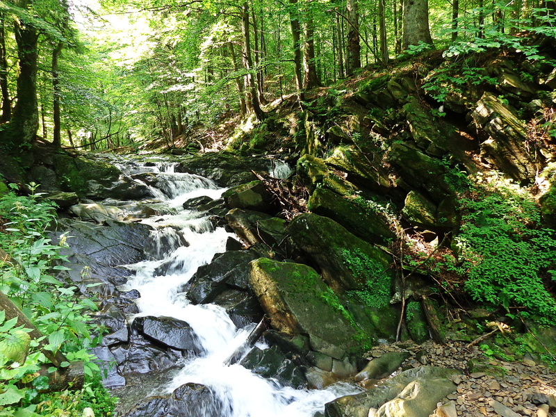 forest, stone, landscape, river, cascade, tree, holiday, Nature, podhale, outdoors, a view of the mountains, Water, flowing, mountains, no people, tatry