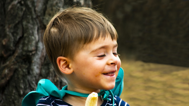 clothing, sweets, headshot, outdoors, finger, potrait, food, hair, innocence, person, emotion, creme, confectionery, looking, childhood, males, face, plant
