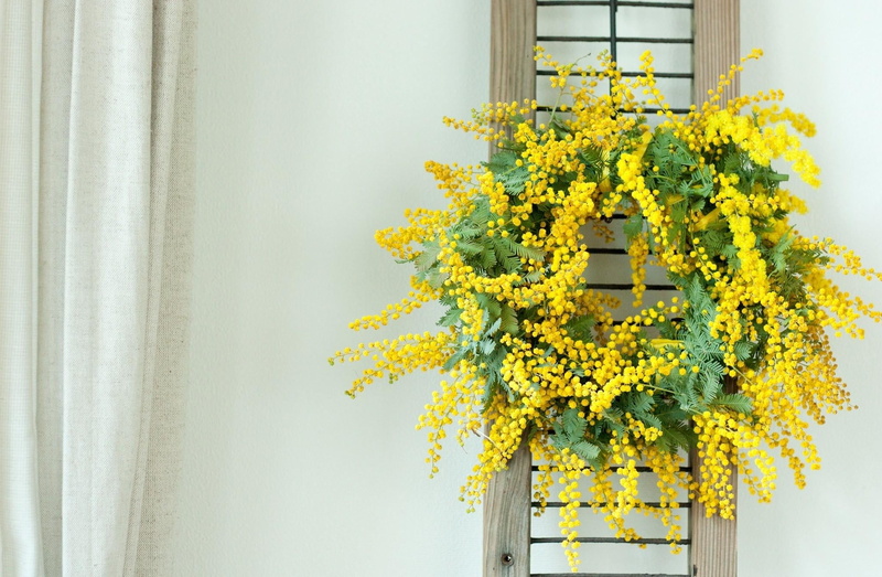 architecture, green, flower, backgrounds, window, ornate, fragility, beauty in nature, wreath, decor, freshness, flowering plant, no People, wall - Building Feature