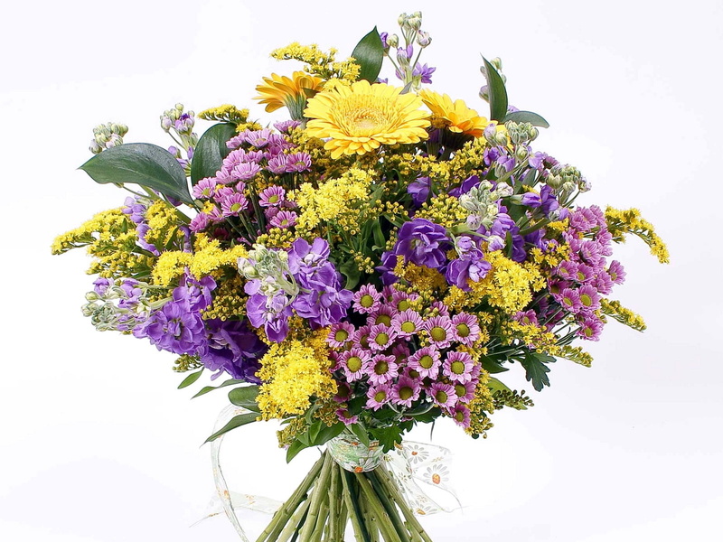 yellow, mimosa, flower arrangement, multi Colored, close-up, plant, leaf, flower, plant part, fragility, flowers, freshness, petal, day, nature, ribbon