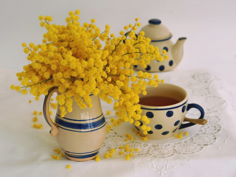 1080P, mug, Cup, tea, Acacia silver, style, Mimosa, bouquet, pitcher