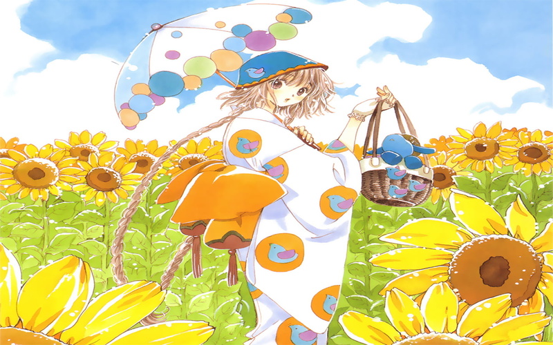 sky, butterfly - insect, animal themes, inflatable, art and craft, toy, anime girls, creativity, outdoors, Kobato, craft, nature, CLAMP, representation