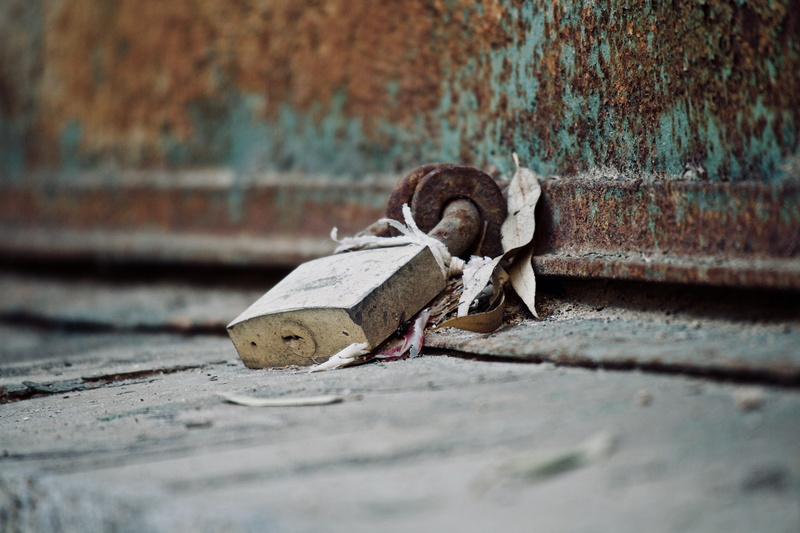 decadence, union, iron, steel, selective focus, weathered, wall - building feature, wood - material, nature, 5K, architecture, animal, abandoned, bolt