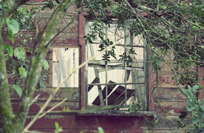 house, no people, broken, nature, time, age, decadence, apocalyptic, tree, building, construction, destroyed, destroyed window, window, paranapiacaba, destruction