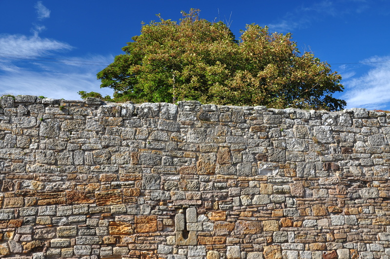 history, wall - building feature, built structure, day, brick, wall, architecture, outdoors, sky, Stone Wall, tree, old, solid, low angle view, monument