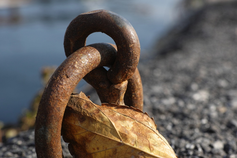 connected, daniel, outdoors, beautiful, solid, connect, macro, nature, close, nobody, detail, rusty, metal, day, run-down, 4K, sunlight, no people, perspective