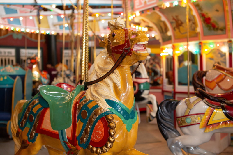 arts culture and entertainment, ride, amusement, enjoyment, focus on foreground, carousel horses, domestic, domestic animals, no people, mammal, wooden
