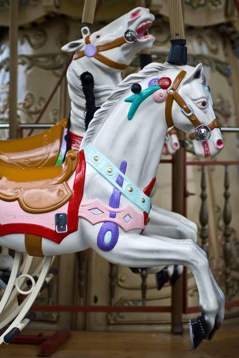 amusement park ride, amusement park, Carousel, day, focus on foreground, close-up, hanging, human body part, animal, fun, nostalgia, representation, Color