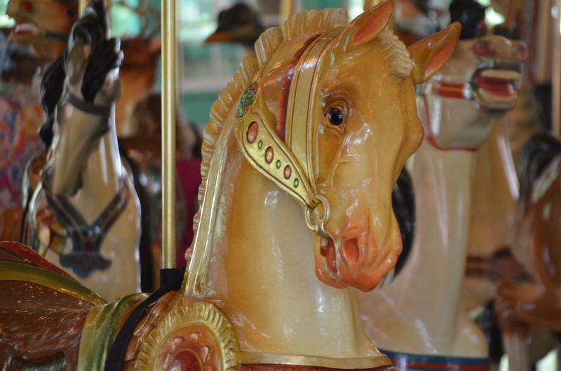 mammal, focus on foreground, carousel horses, livestock, carousel, close-up, animal, retail, domestic animals, amusement, creativity, arts culture and entertainment