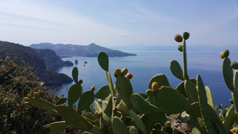 land, salina, sea, calm, no people, cactus, landscape, beauty in nature, holiday, horizon, color, surrounded, lake, succulent plant, sky, 5K, sicily, rock