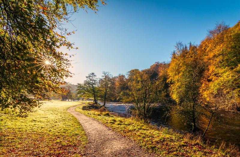 landscape, uk, autumn collection, orange color, light, day, yorkshire, beauty in nature, autumn leaves, nature, road, tranquility, river, bolton abbey