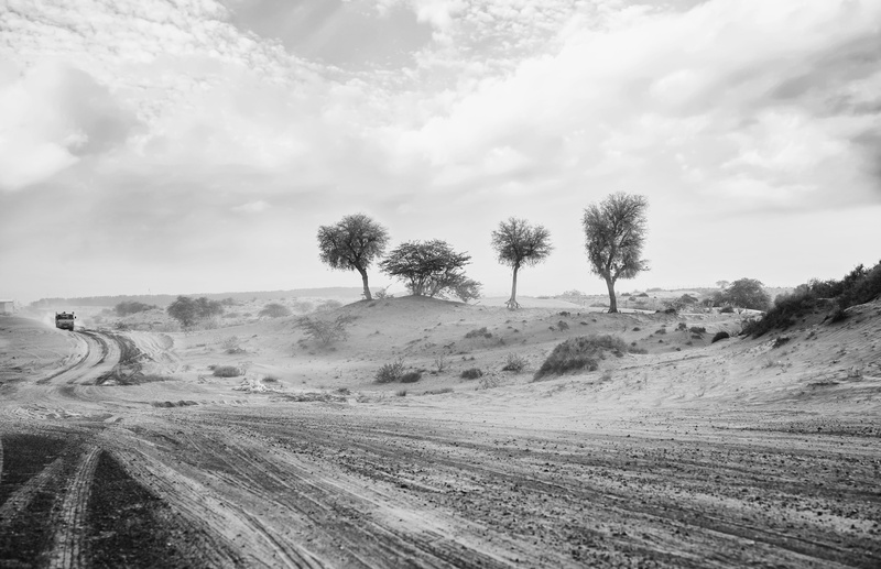 roads, sun, mountain, landscape, cloudy, dry, travel, scenery, black, plant, light, semi-arid, sunny, sand, cloudiness, dawn, natural, outdoors, monochrome