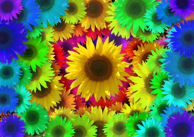 colorful, no people, art, freshness, multi colored, design, plant, yellow, background, flower, abstract, blossom, popart, 4K, pollen, bloom, color, inflorescence