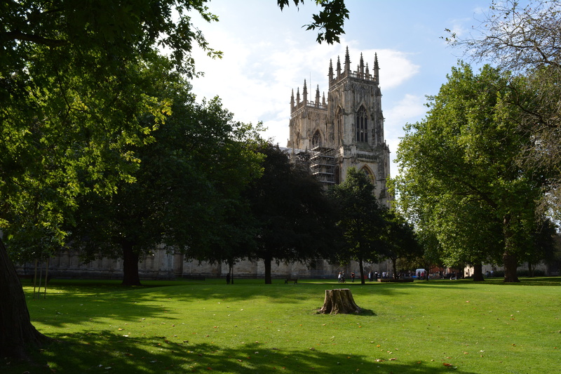 gothic, york, sky, historical, outdoors, north yorkshire, building exterior, place of worship, plant, gothic english, york minster, architecture, nature