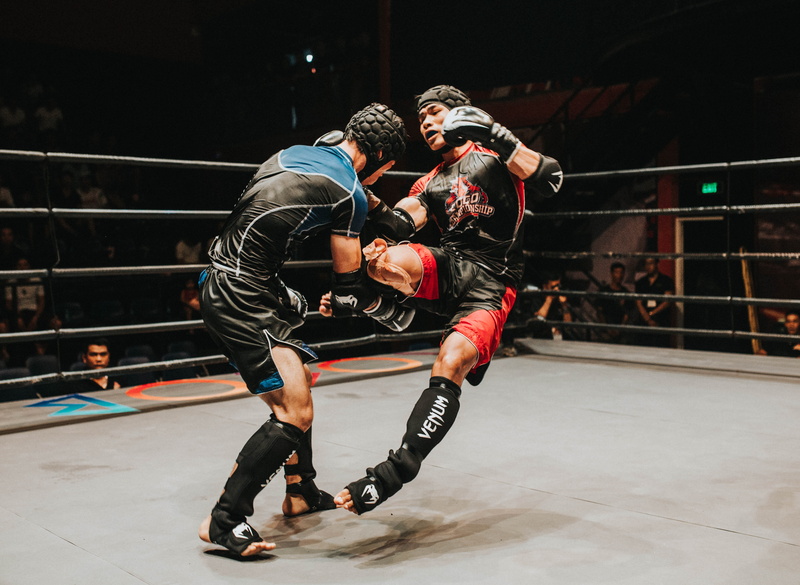 fighter, boxing ring, sport, men, royalty  images, recreation, fight, athletes, people, wear, gloves, punch, stadium, 4K, action, punching, two people