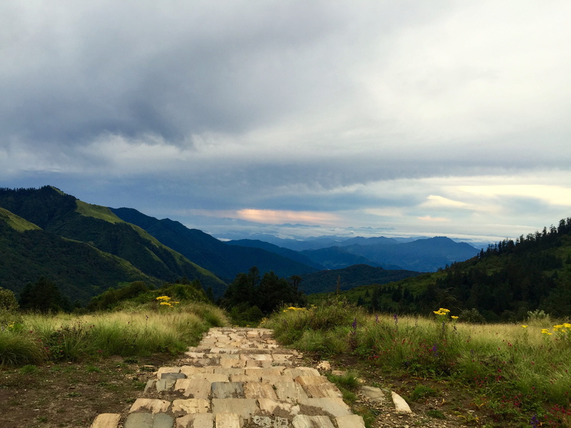 no people, tranquil scene, nepal, cloud - sky, tree, poon hill(3, non-urban scene, beauty in nature, landscape, nature, environment, plant, footpath, idyllic