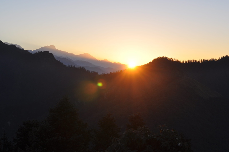 environment, hills, travel, light, poon hill, land, outdoor, tranquil scene, trekking, outdoors, 2K, rays, forest, plant, tree, hiking, no people, mountain