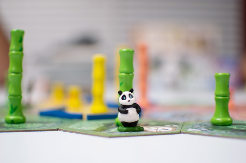 tabletop, still life, photo, photography, nature, portrait, creativity, winter, kerrville, outdoors, no people, close-up, board, game, representation, jigsaw puzzle