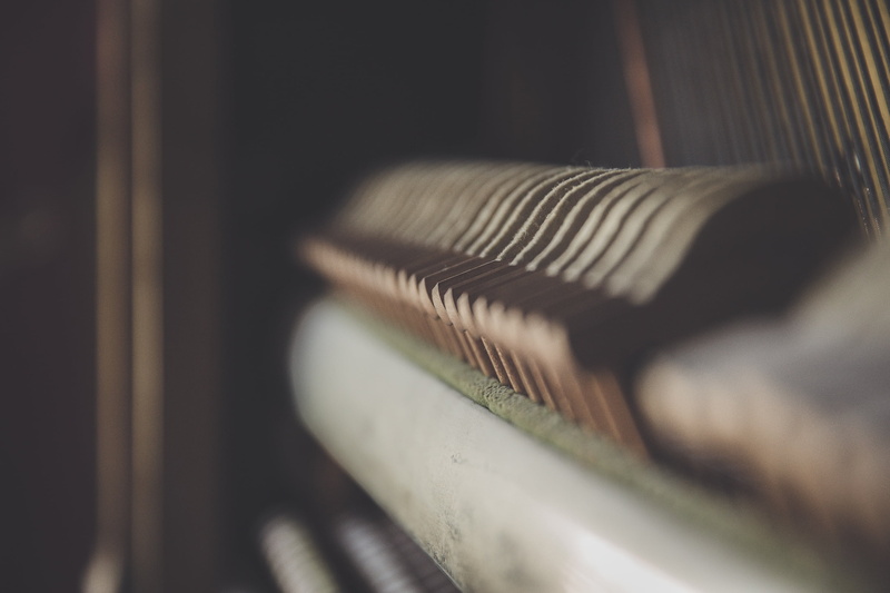 keys, textile factory, thread, bird, close-up, art, still life, outdoors, wool, industry, selective focus, 2K, connection, abstract, cotton, textile, day