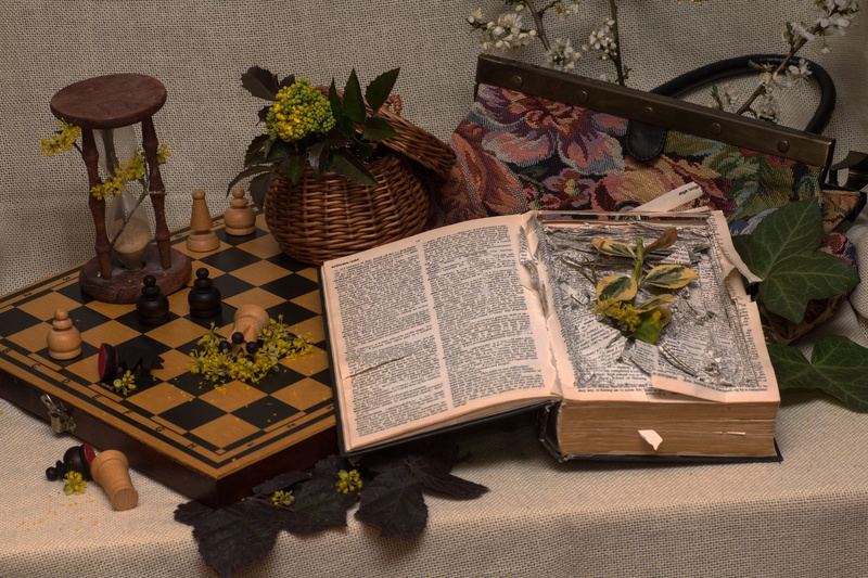hourglass, flower, old pocket, set, high angle view, phoot, chess board, publication, herbal medicine, leaf, book, plant, white, day, 5K, wood - material
