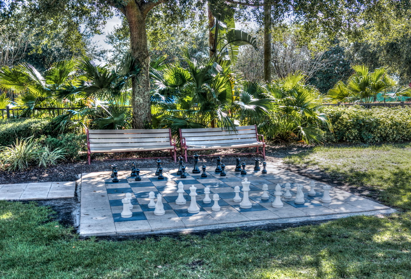 tropical, outdoors, green color, plant, tranquility, relaxation, summer, sun, nature, park - man made space, recreation, chess piece, park, leisure games