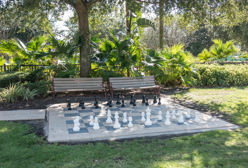 giant chess set, park - man made space, nature, leisure games, tree, game, 5K, chess piece, tropical, no people, plant, growth, sun, grass, summer, holiday