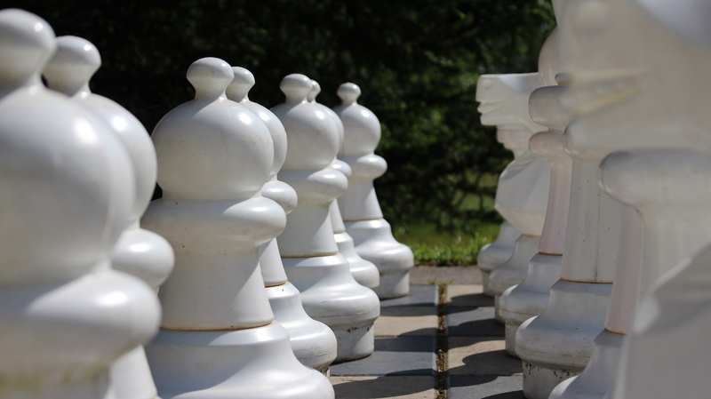 think, queen, white color, plant, sculpture, chess, 3d, knight - chess piece, white, day, no people, park, chess pieces, play, board game, bauer, close-up