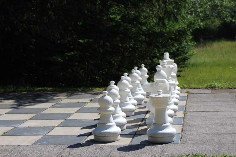 white, chess game, day, playing field, tree, think, figures, chess pieces, board game, 3d, relaxation, chess board, plant, bauer, 5K, game board, park