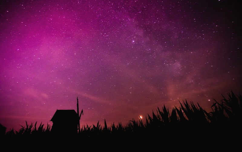 astronomy, star field, plant, building, nature, space, sky, silhouette, outline, 4K, mill, scenics - nature, no people, beauty in nature, starry sky, star - space