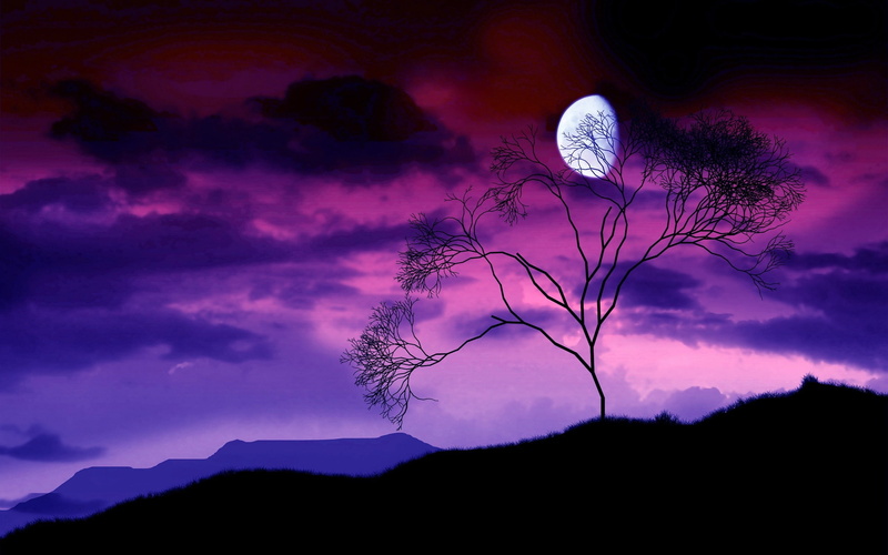 sun, blue, branches, planetary moon, sunrise - Dawn, moon, beauty In Nature, cloud - Sky, purple, tranquility, cloudscape, full moon, moonlight, scenics