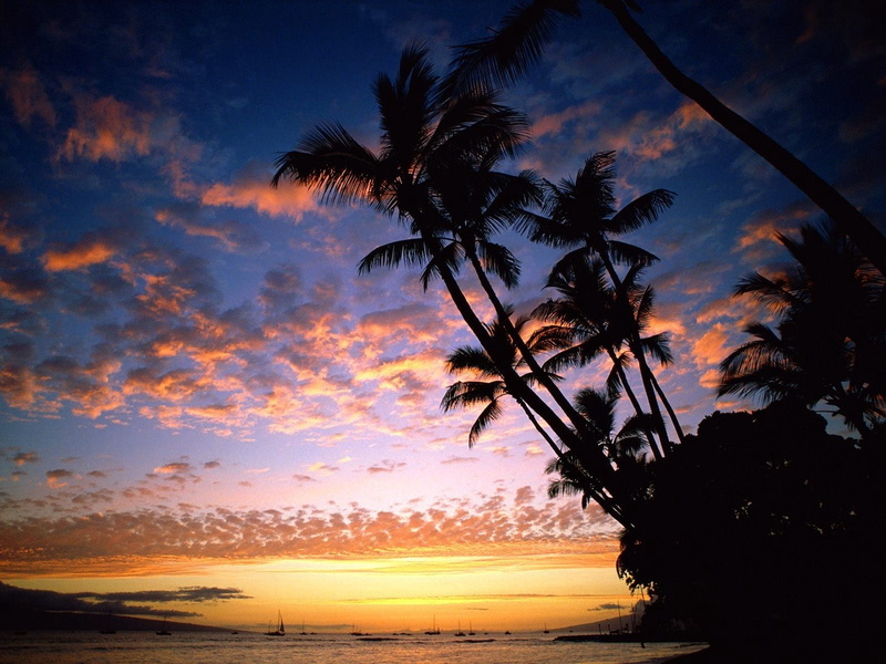 beach, land, water, palm trees, ships, multi Colored, vacations, 720P, dusk, sky, idyllic, tropical Climate, tranquil Scene, blue, island, sunset, cloud - Sky